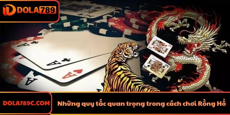 Những quy tắc quan trọng trong cách chơi Rồng Hổ