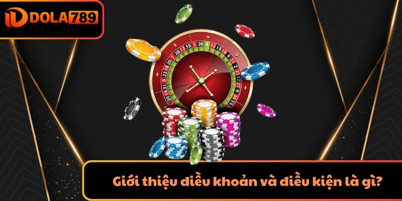 Giới thiệu điều khoản điều kiện là gì?